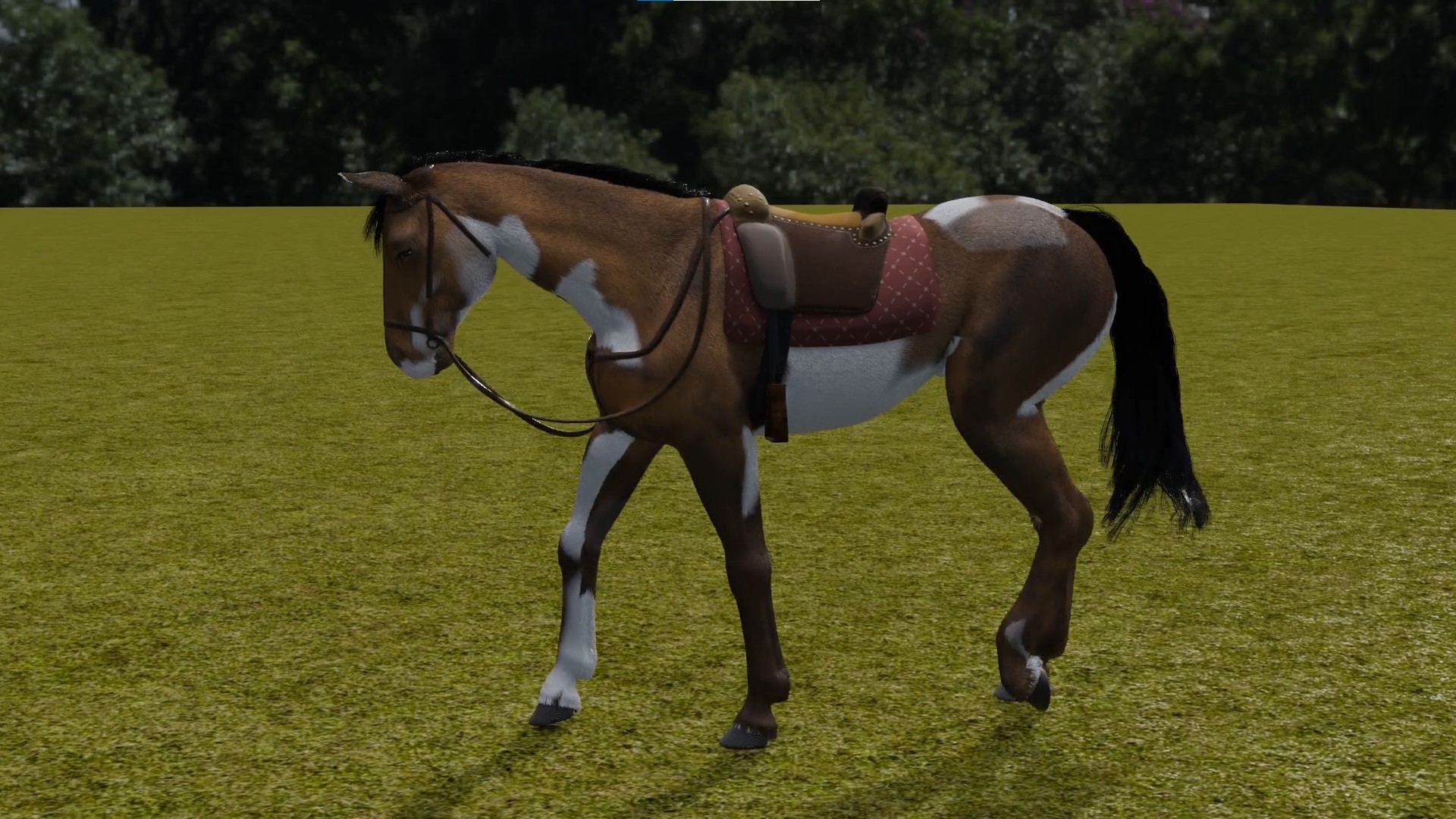 Horse Rigged All Gaits preview image 1